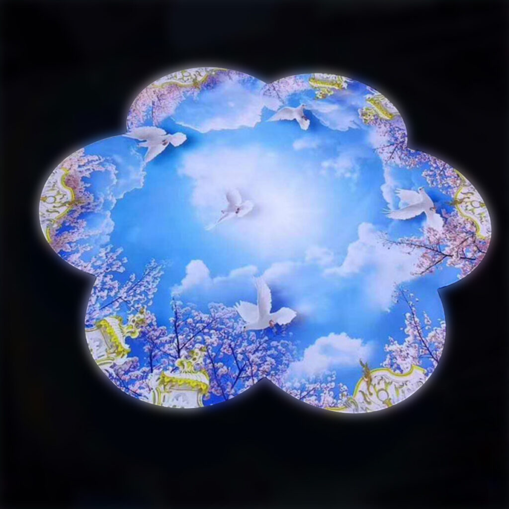 LED Ceiling SEG Light Box | Custom Shape Ceiling Lighting