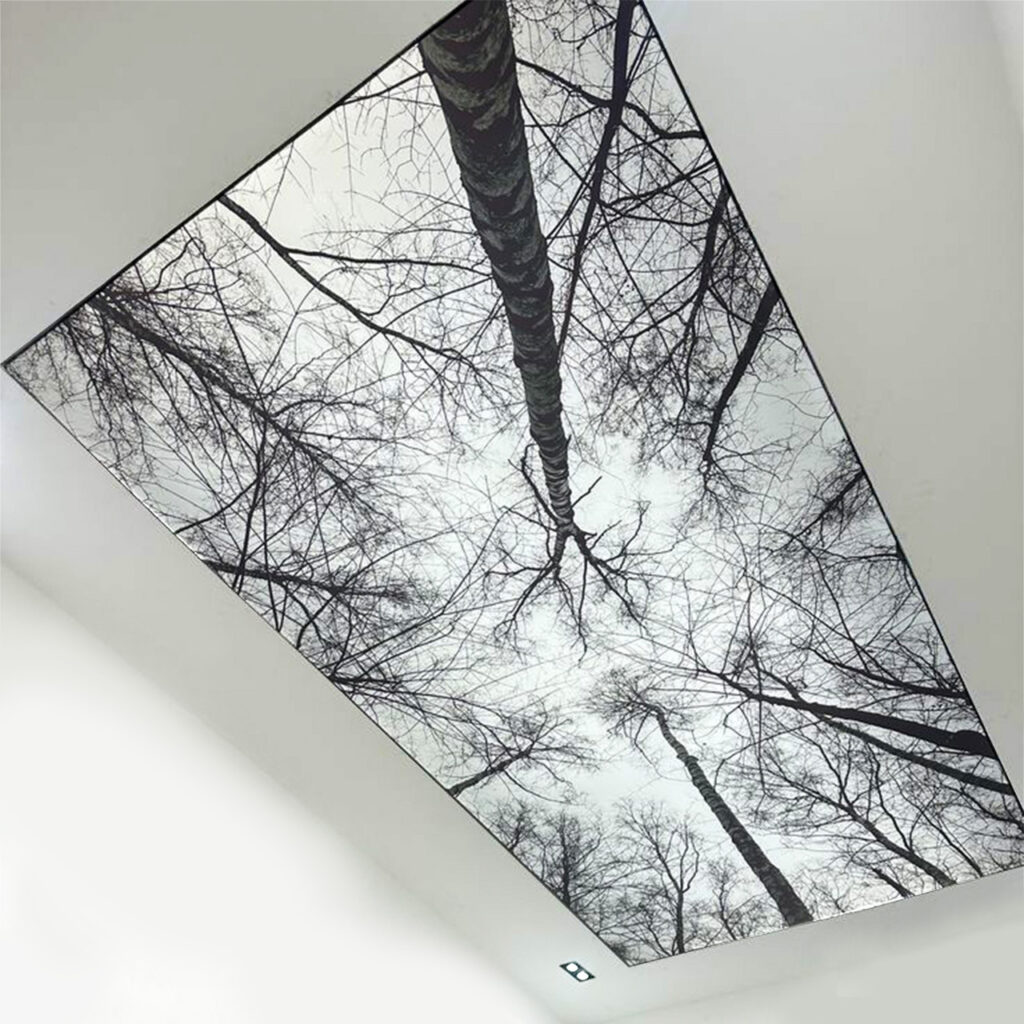 LED Ceiling SEG Light Box | Custom Shape Ceiling Lighting