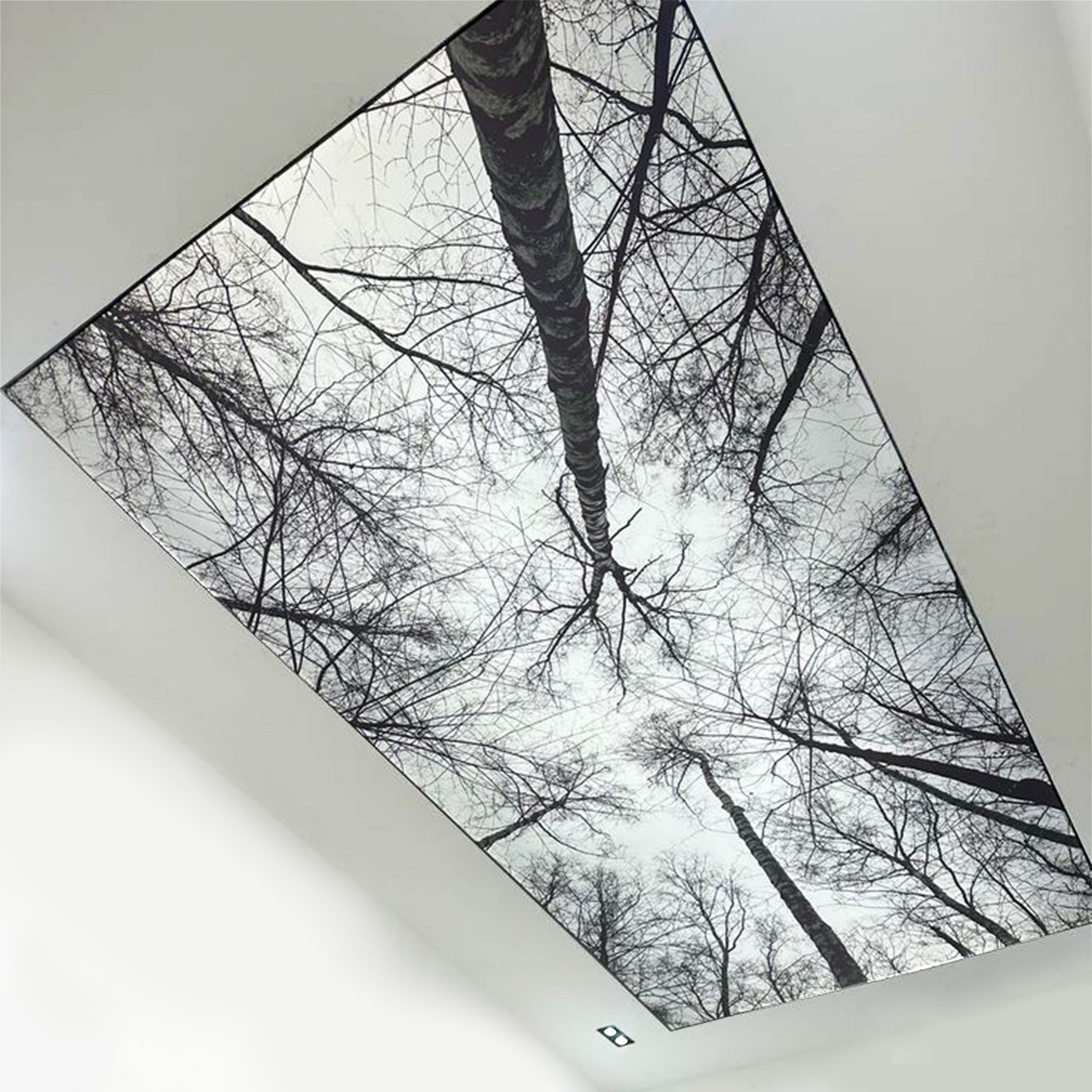 LED Ceiling SEG Light Box | Custom Shape Ceiling Lighting