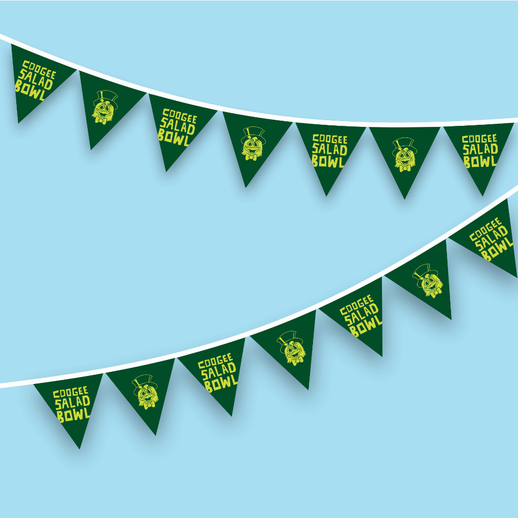 Fabric Bunting Flags Printing