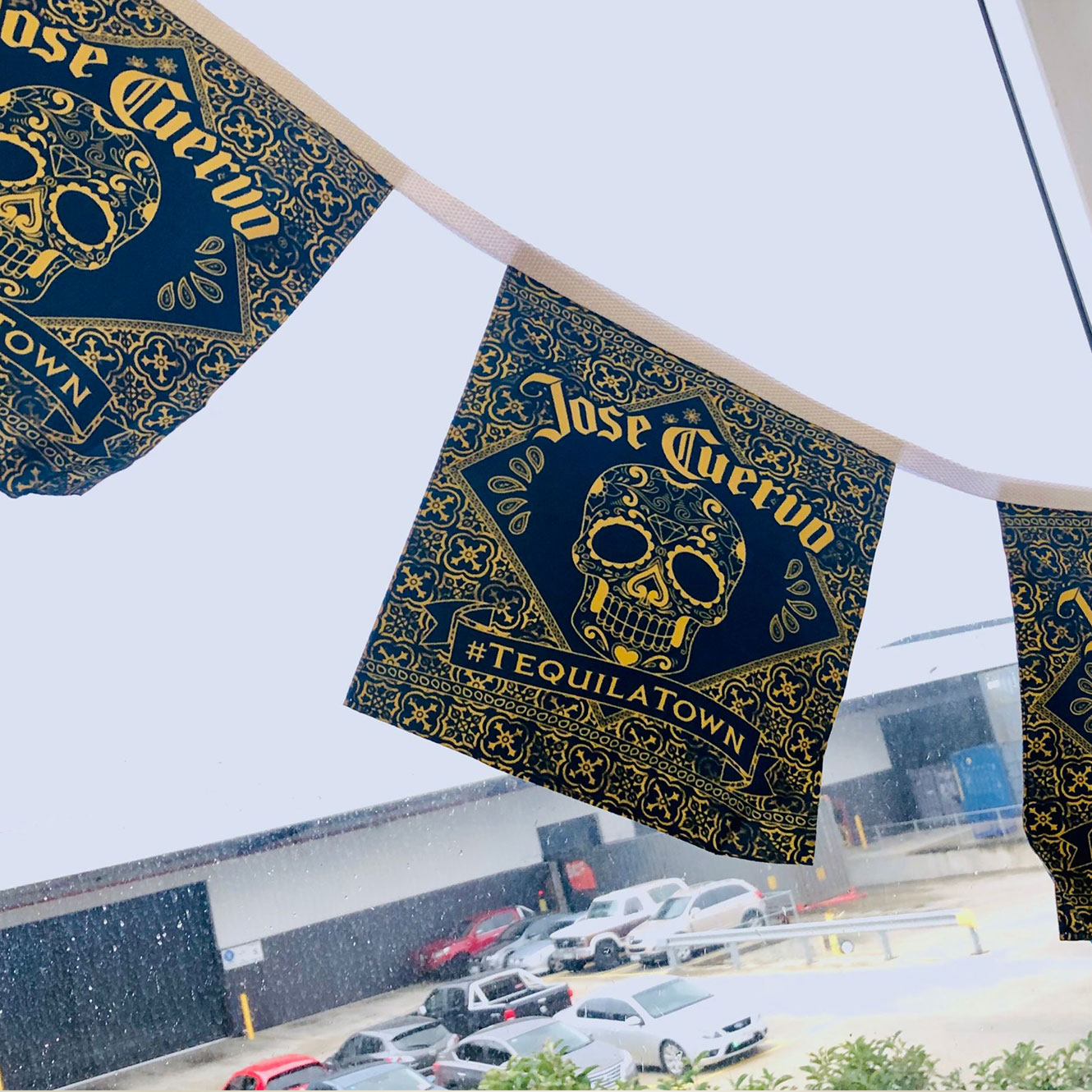 Fabric Bunting Flags Printing
